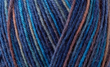 Regia 4-fadig 4ply Sock Yarn