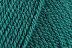 Stylecraft Special DK Yarn 100g ball - All Colours