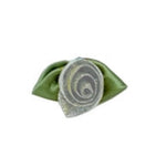 Large Satin Ribbon Roses by Bertie’s Bows 15mm x 30mm pack of 10 roses
