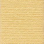 Stylecraft Special DK Yarn 100g ball - All Colours