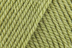 Stylecraft Special DK Yarn 100g ball - All Colours