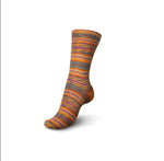 Regia Design Line 4-Ply Sock Yarn by Arne & Carlos